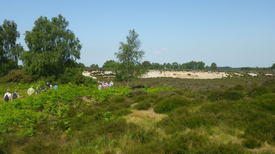 2016-06-08 02 Westleton.jpg