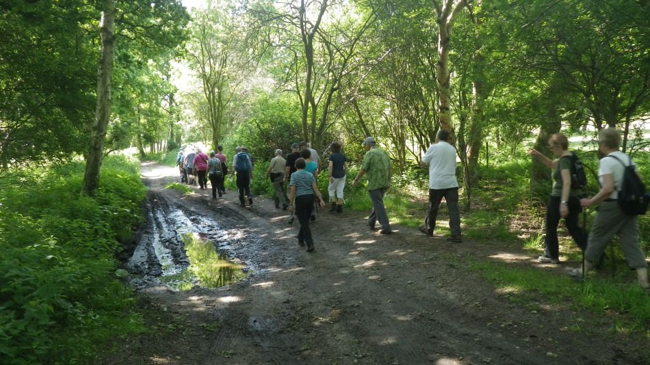 2016-06-08 03 Westleton.jpg