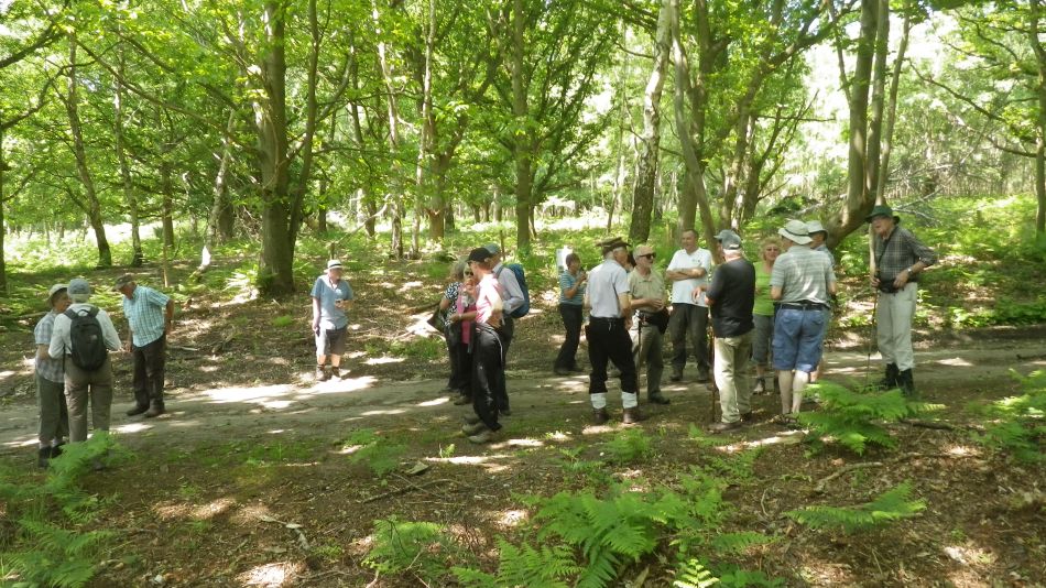 2016-06-08 04 Westleton.jpg