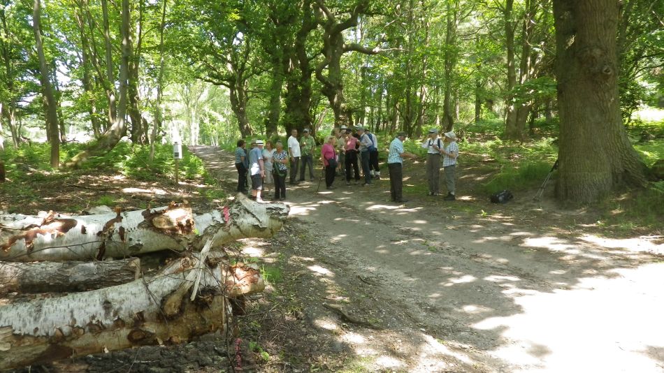 2016-06-08 08 Westleton.jpg