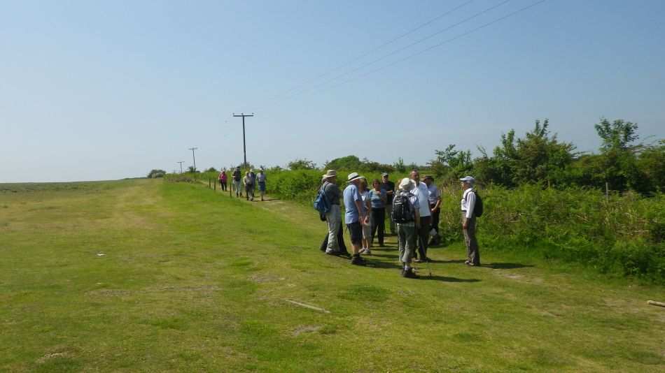 2016-06-08 10 Westleton.jpg