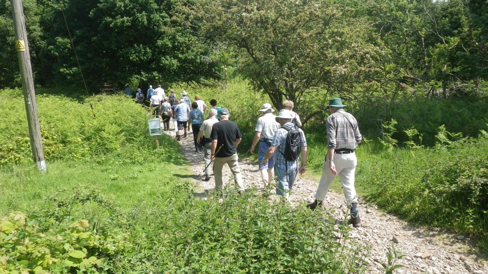 2016-06-08 12 Westleton.jpg