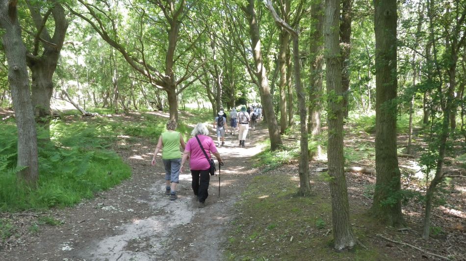 2016-06-08 13 Westleton.jpg