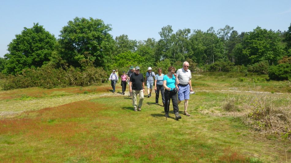 2016-06-08 14 Westleton.jpg