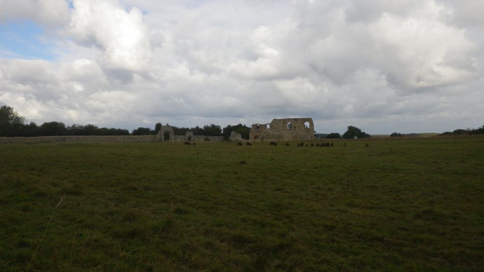 2016-10-12 02 Westleton and Dunwich Heaths.jpg