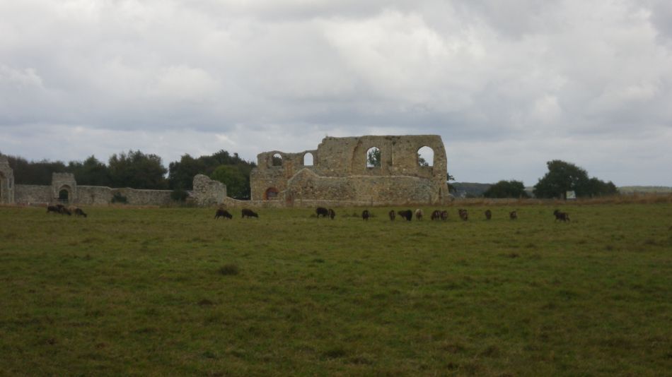 2016-10-12 03 Westleton and Dunwich Heaths.jpg