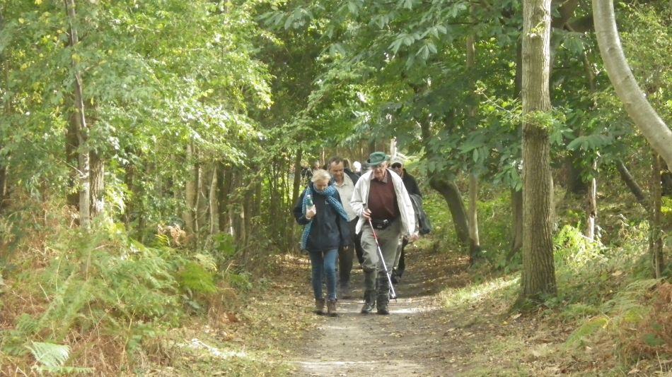 2016-10-12 04 Westleton and Dunwich Heaths.jpg