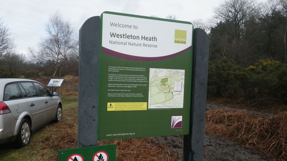 2017-03-08 01 Westleton Heath.JPG