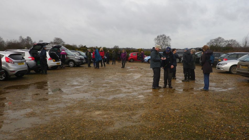 2017-03-08 02 Westleton Heath.JPG