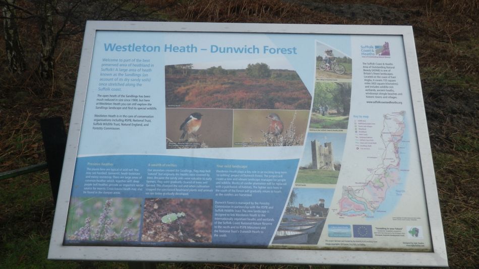 2017-03-08 03 Westleton Heath.JPG