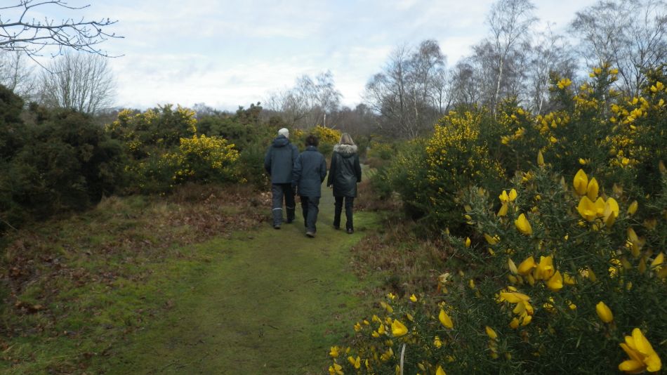 2017-03-08 04 Westleton Heath.JPG