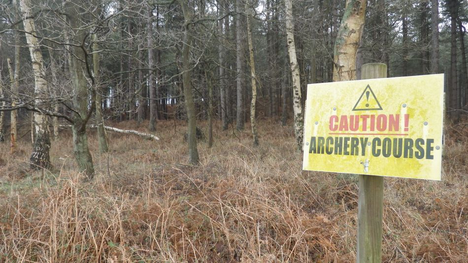 2017-03-08 05 Westleton Heath.JPG