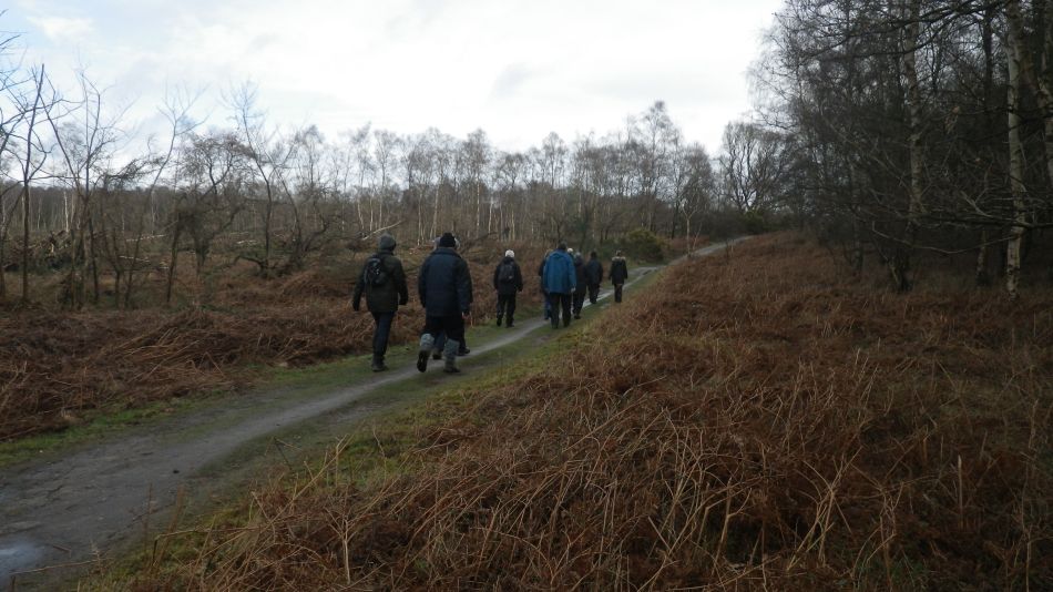 2017-03-08 06 Westleton Heath.JPG