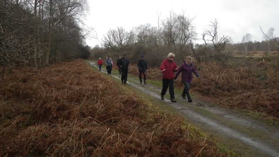 2017-03-08 07 Westleton Heath.JPG