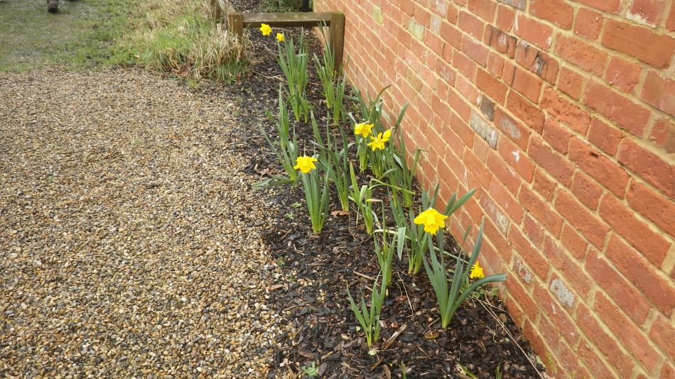 2017-03-08 12 Westleton Heath.JPG