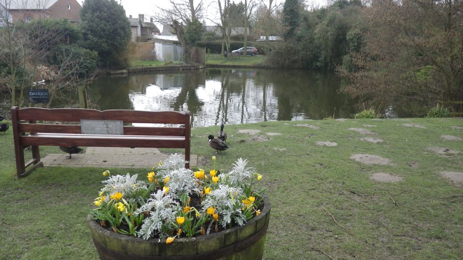 2017-03-08 23 Westleton Heath.JPG