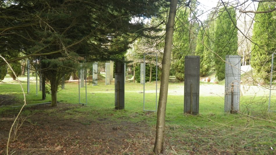 2017-03-08 26 Westleton Heath.JPG