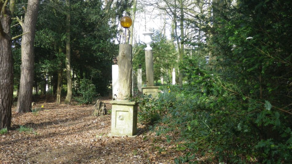 2017-03-08 34 Westleton Heath.JPG