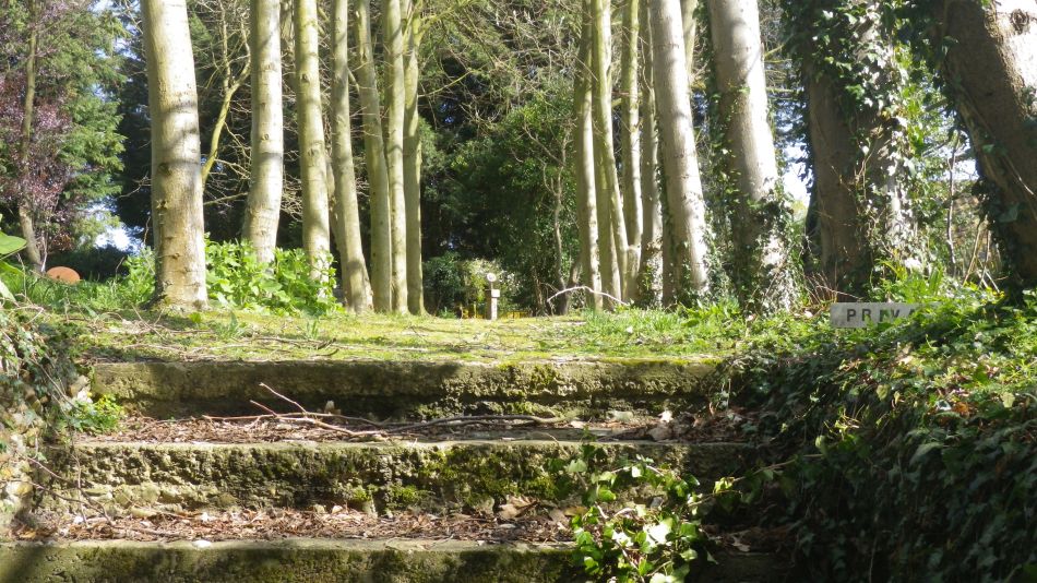 2017-03-08 35 Westleton Heath.JPG