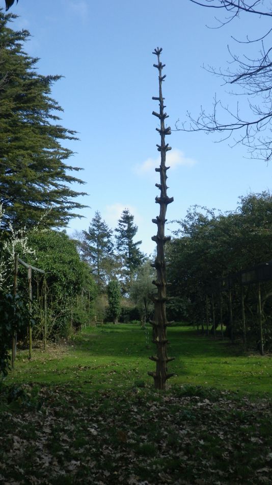 2017-03-08 38 Westleton Heath.JPG