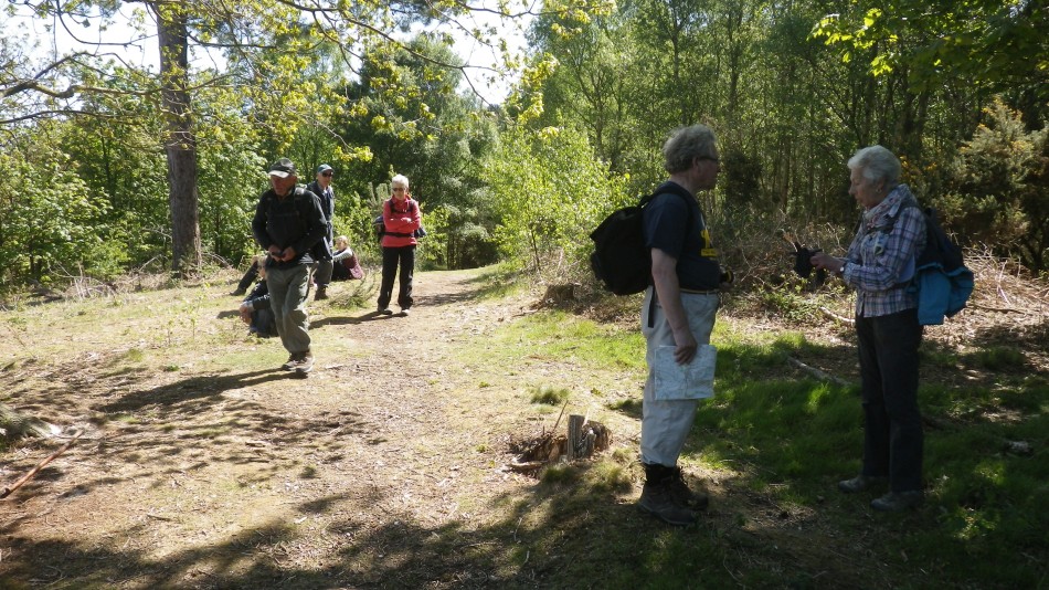 2017-05-10 02 Westleton and Black Slough Area.jpg