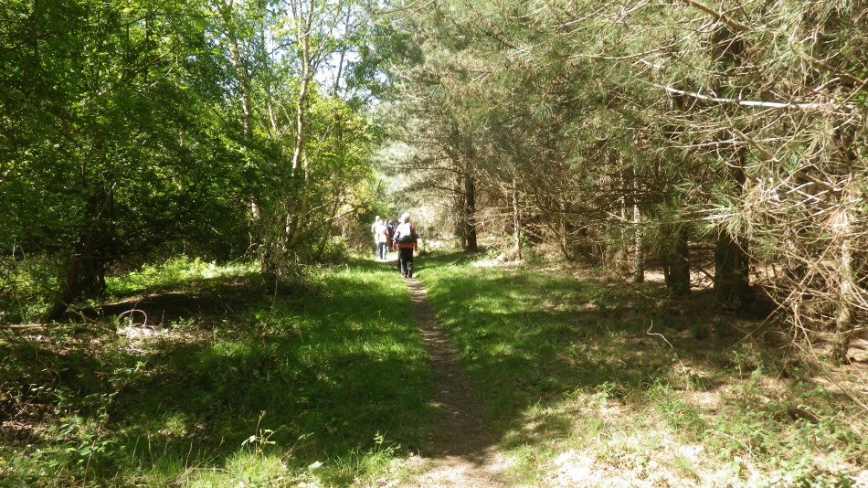 2017-05-10 04 Westleton and Black Slough Area.jpg