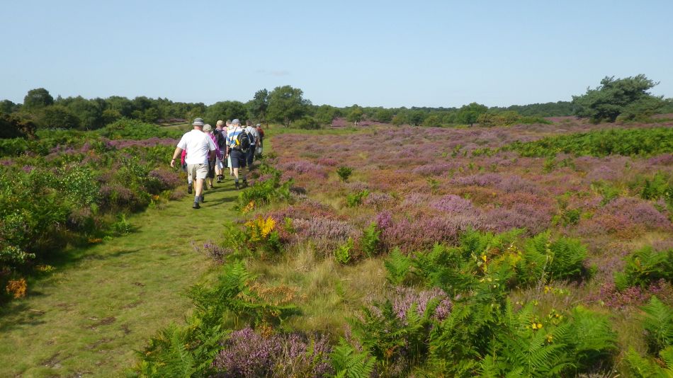 2017-08-20 03 Ipswich Group around Minsmere.jpg