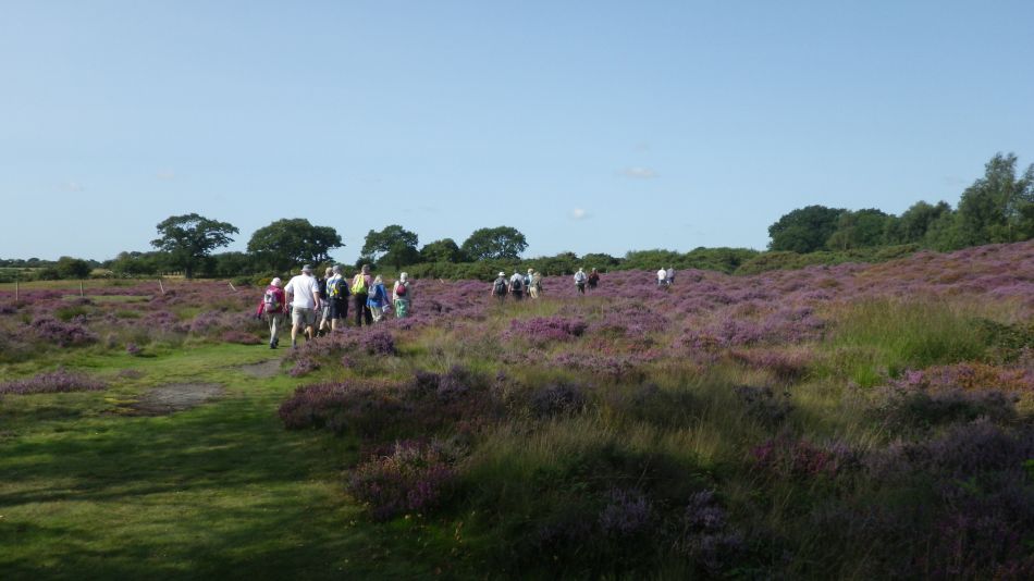 2017-08-20 06 Ipswich Group around Minsmere.jpg