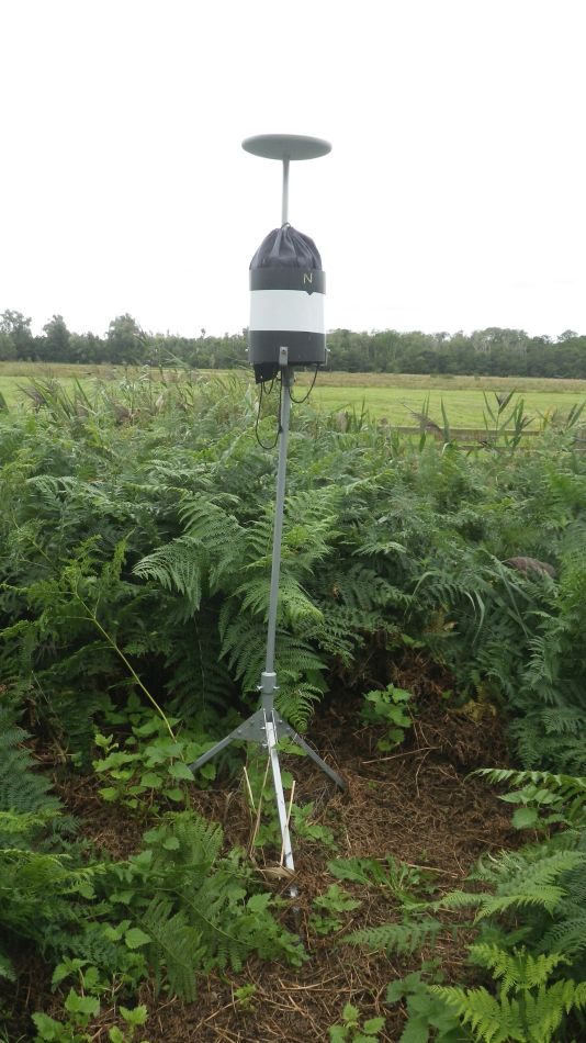 2017-08-20 08 Ipswich Group around Minsmere.jpg