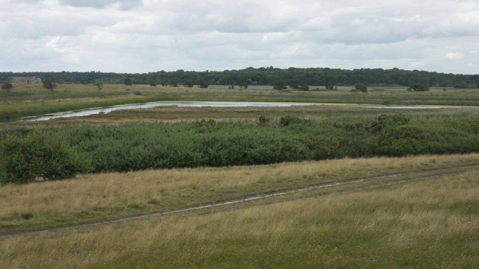 2017-08-20 15 Ipswich Group around Minsmere.jpg