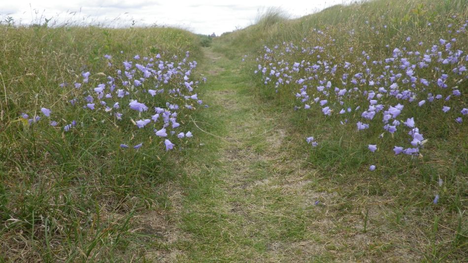 2017-08-20 16 Ipswich Group around Minsmere.jpg