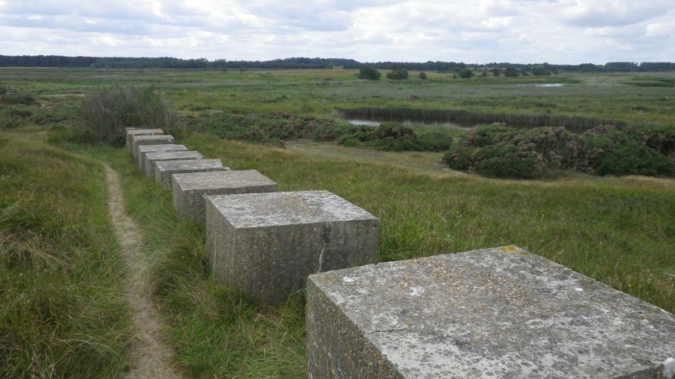 2017-08-20 19 Ipswich Group around Minsmere.jpg