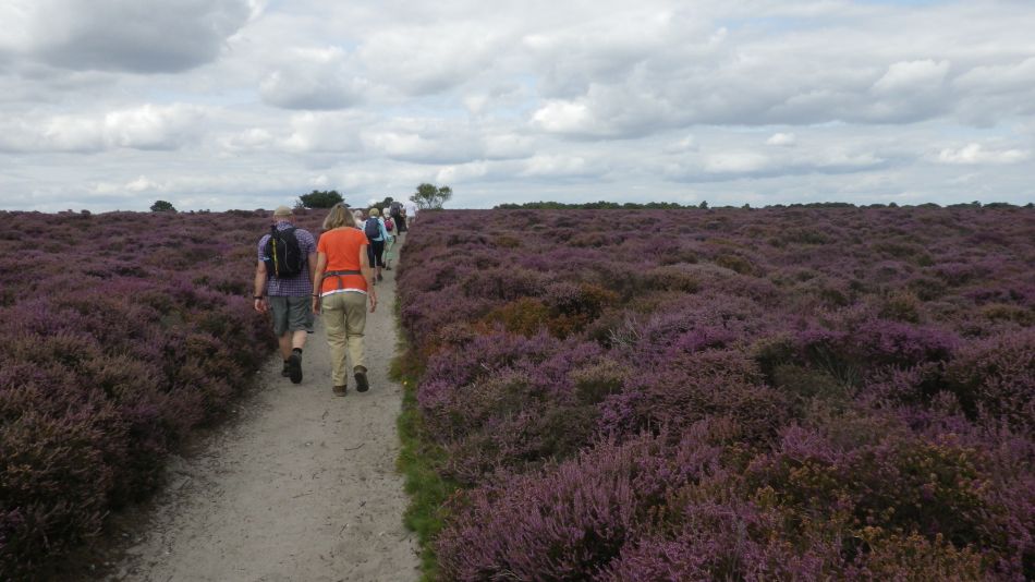 2017-08-20 21 Ipswich Group around Minsmere.jpg