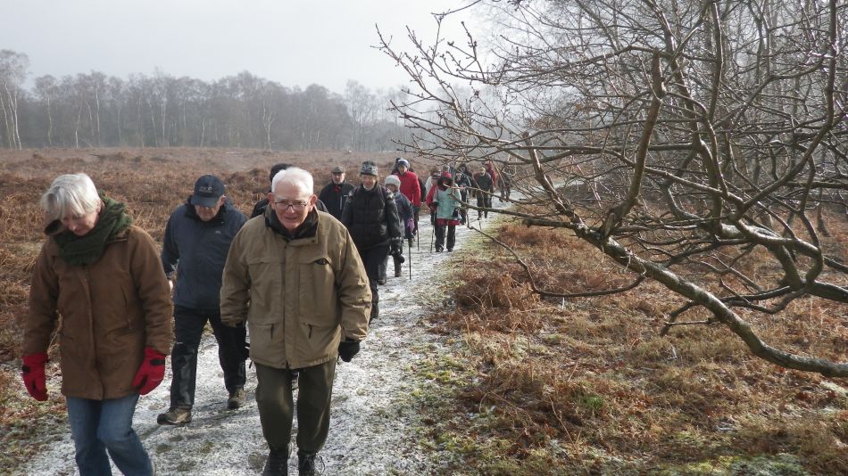 2018-02-07 02 Westleton Woods.jpg