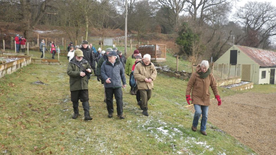 2018-02-07 04 Westleton Woods.jpg