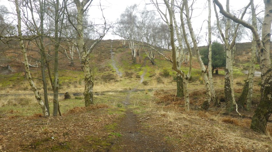 2018-03-22 01 Westleton Munberry Hills and Minsmere New Cut.jpg