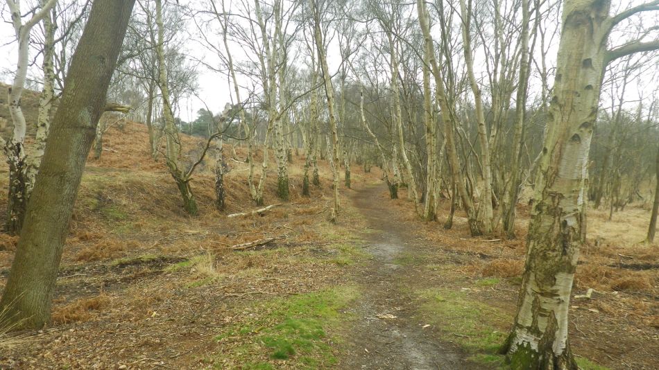 2018-03-22 02 Westleton Munberry Hills and Minsmere New Cut.jpg