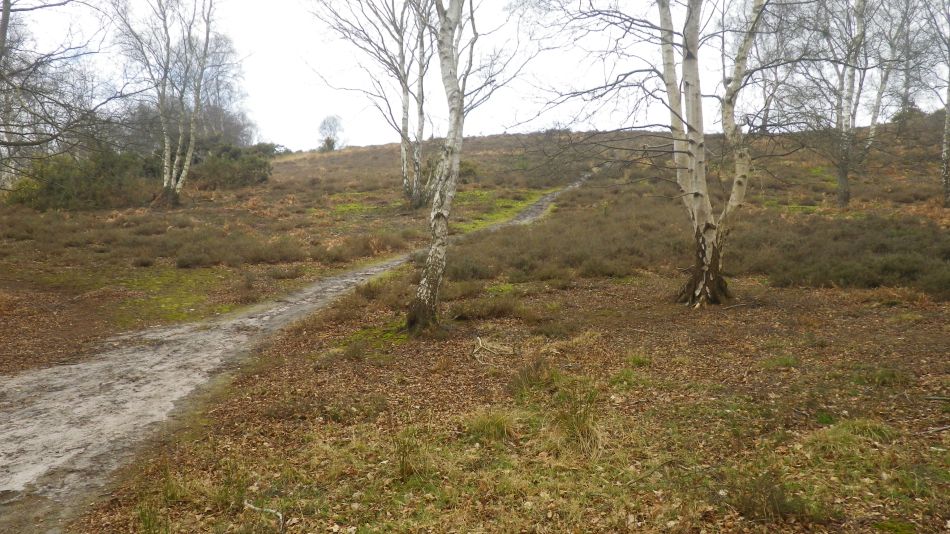 2018-03-22 03 Westleton Munberry Hills and Minsmere New Cut.jpg