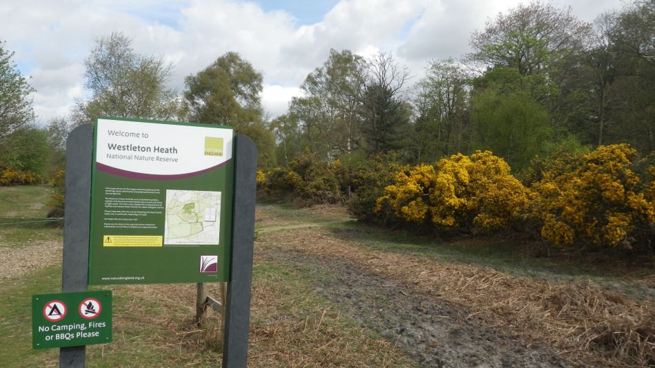 2018-04-23 01 Westleton and Heath.jpg