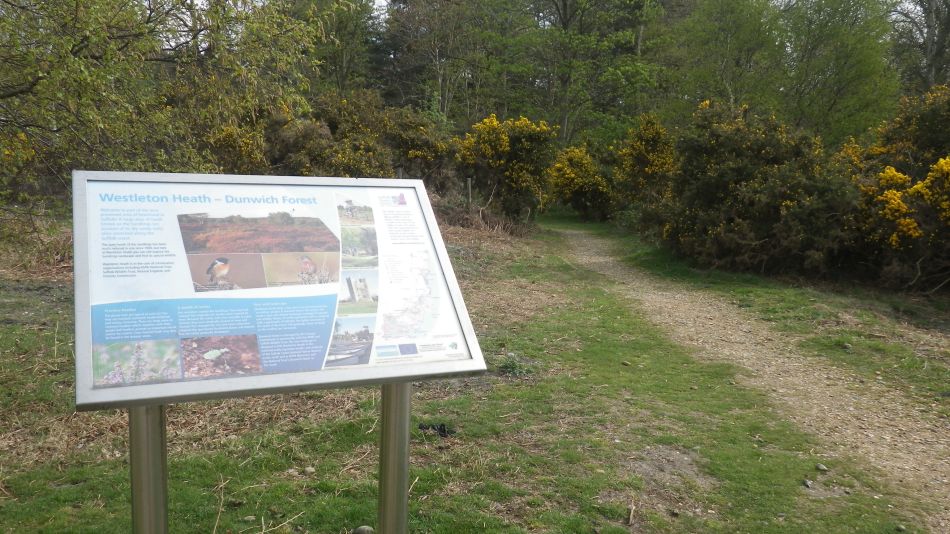 2018-04-23 02 Westleton and Heath.jpg