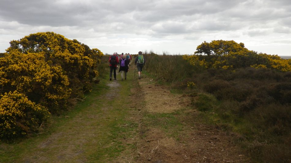 2018-04-23 04 Westleton and Heath.jpg