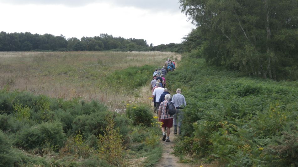 2018-07-11 02 Westleton Heath.jpg