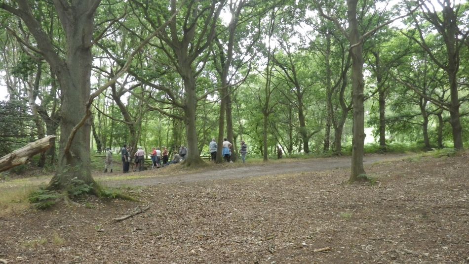 2018-07-11 05 Westleton Heath.jpg