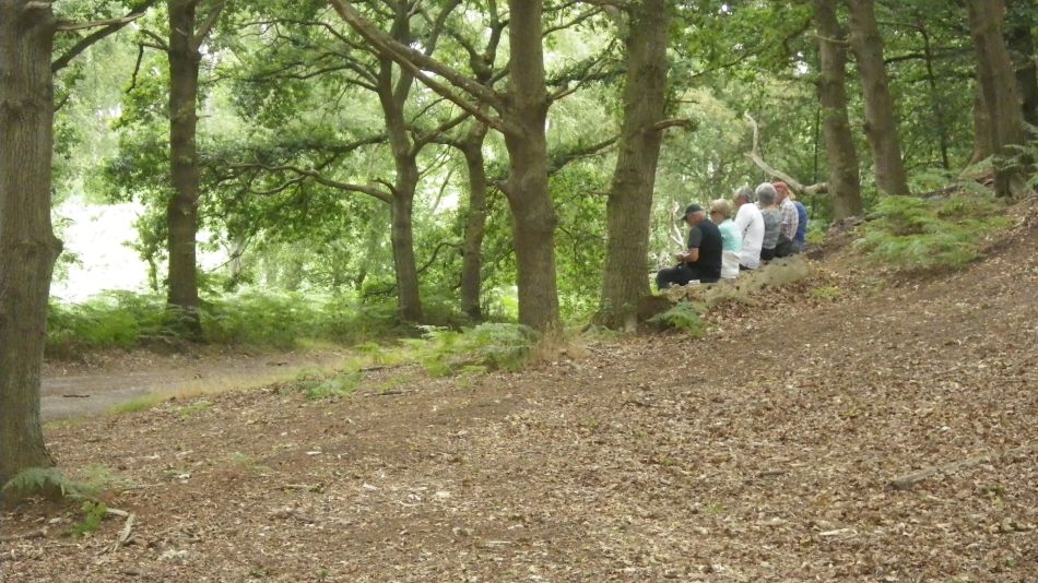 2018-07-11 06 Westleton Heath.jpg