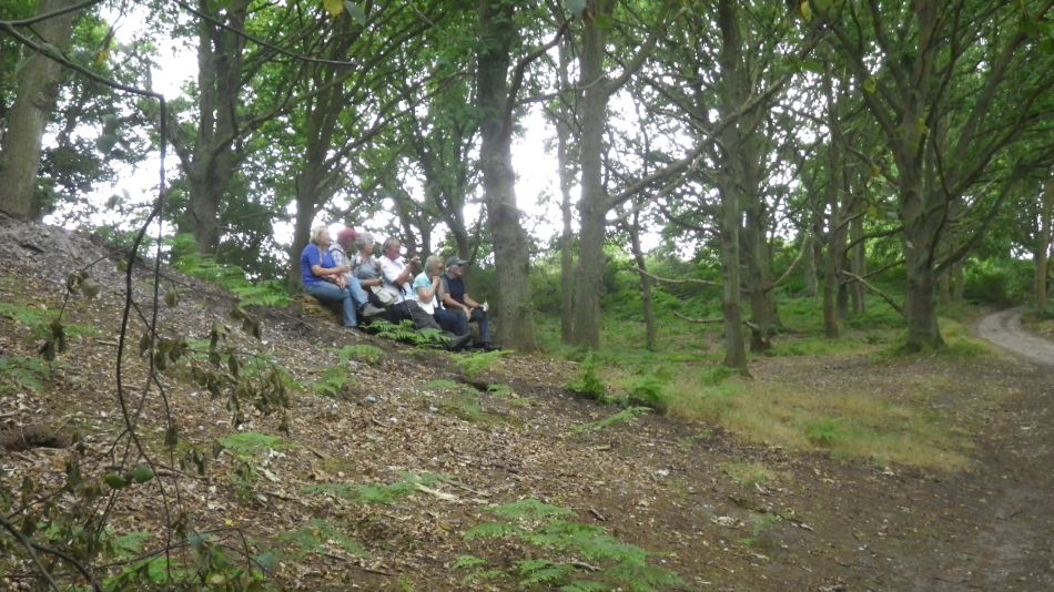 2018-07-11 07 Westleton Heath.jpg