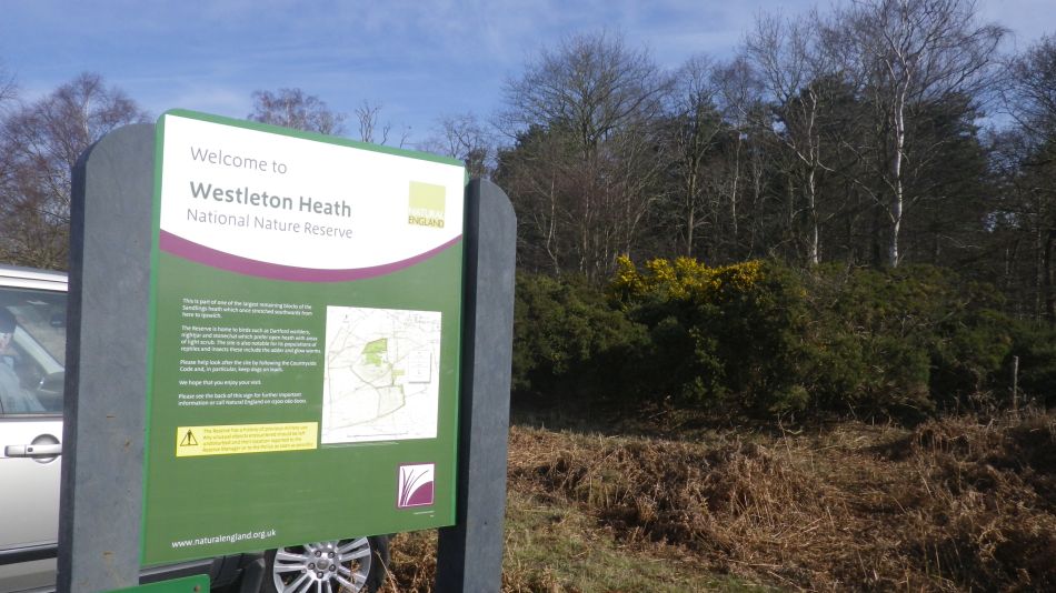 2020-03-04 01 Westleton Broom Hill Dunwich Forest.jpg