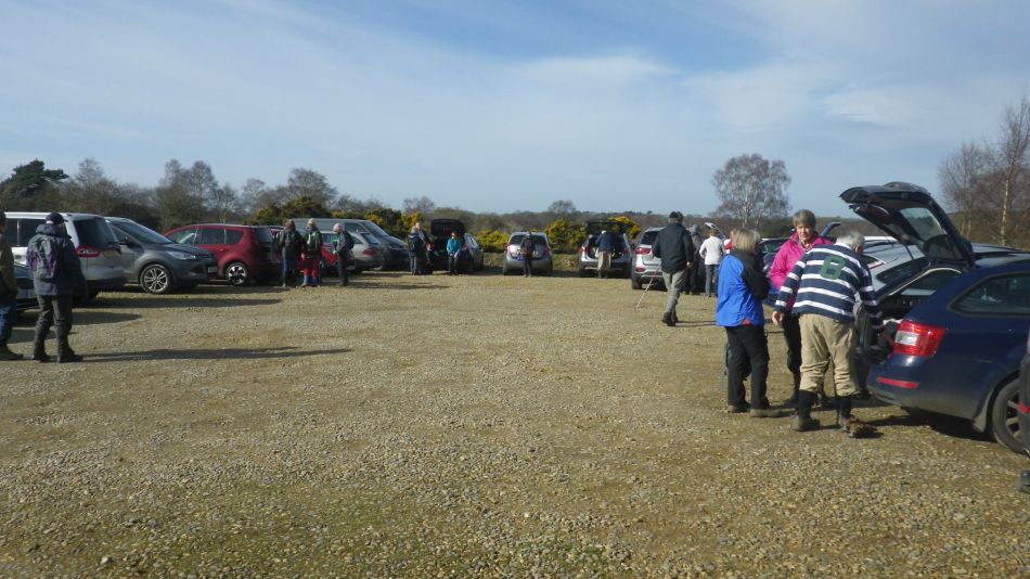 2020-03-04 02 Westleton Broom Hill Dunwich Forest.jpg