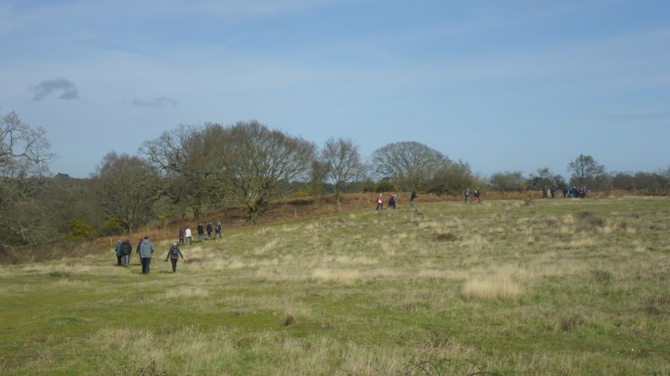 2020-03-04 05 Westleton Broom Hill Dunwich Forest.jpg