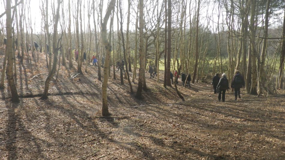 2020-03-04 09 Westleton Broom Hill Dunwich Forest.jpg