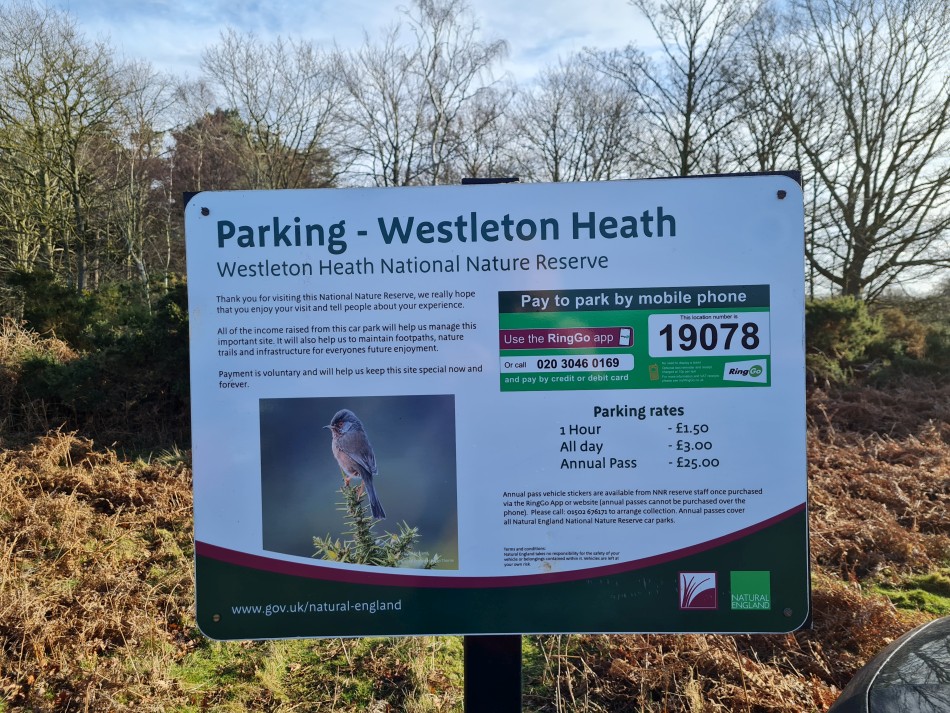 2022-02-16 01 Westleton Heath.jpg